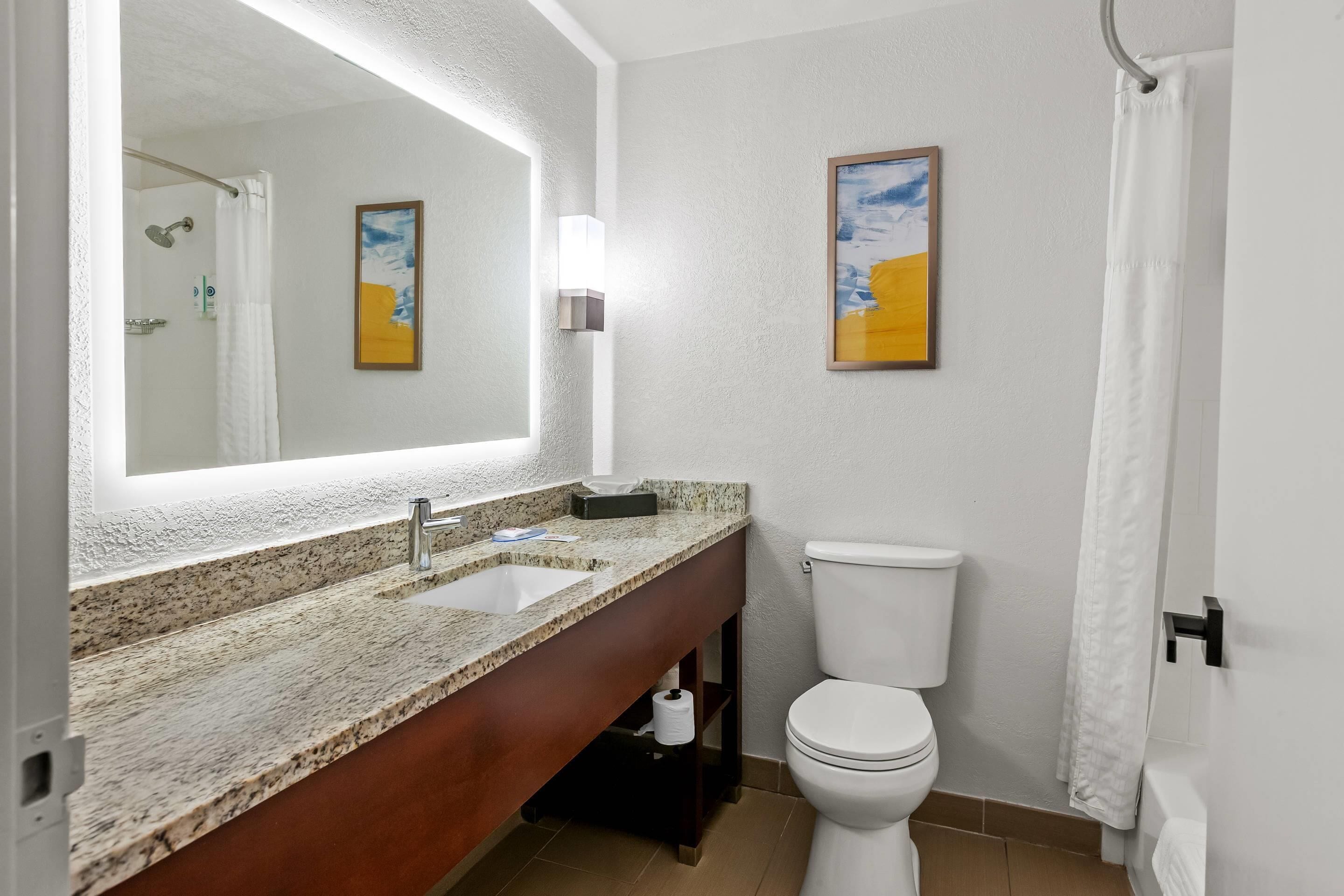 Un baño con lavamanos de encimera de granito, inodoro blanco, un cuadro en la pared y cortina de ducha.