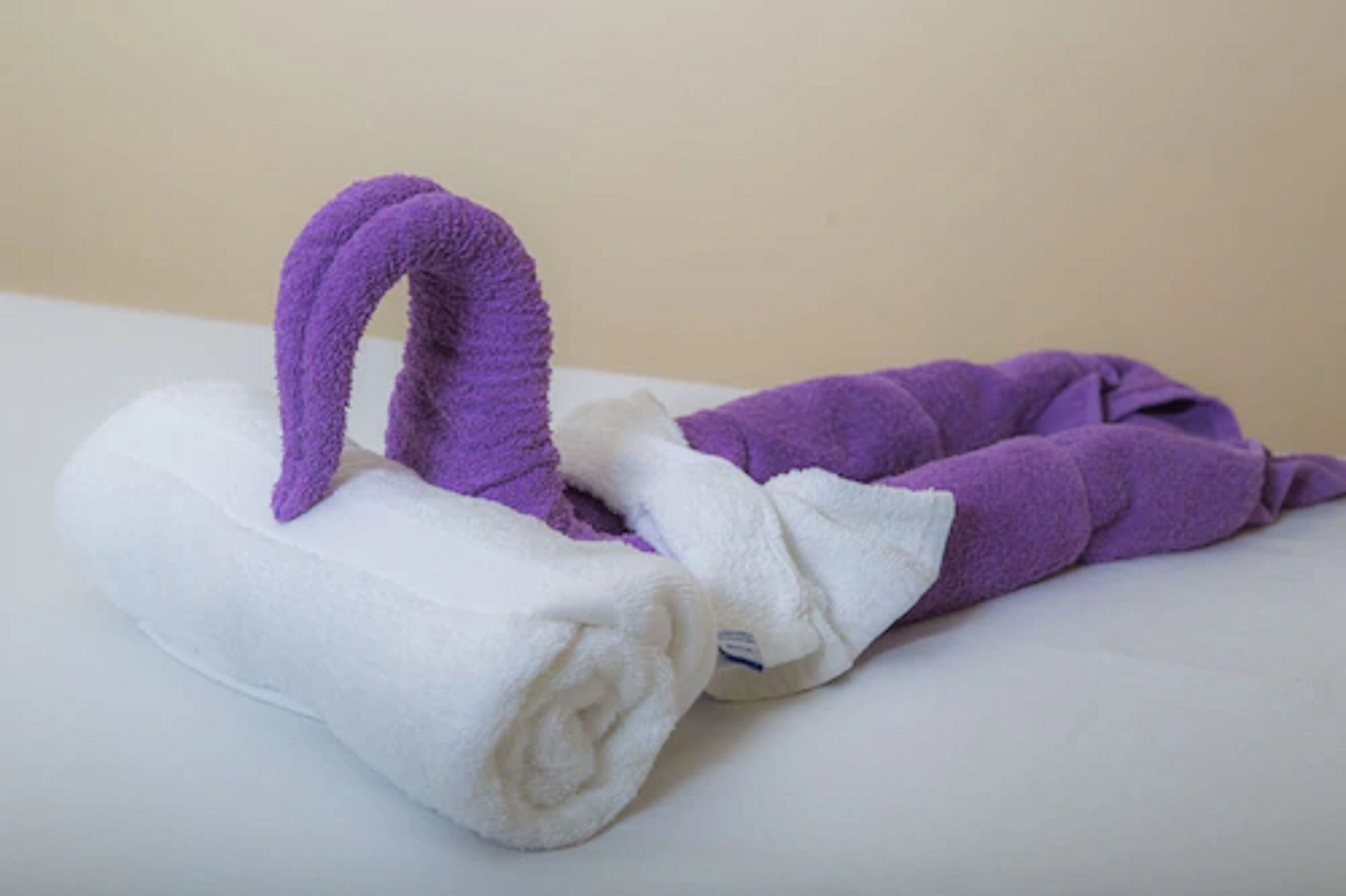 A white and purple towel folded on a white surface.