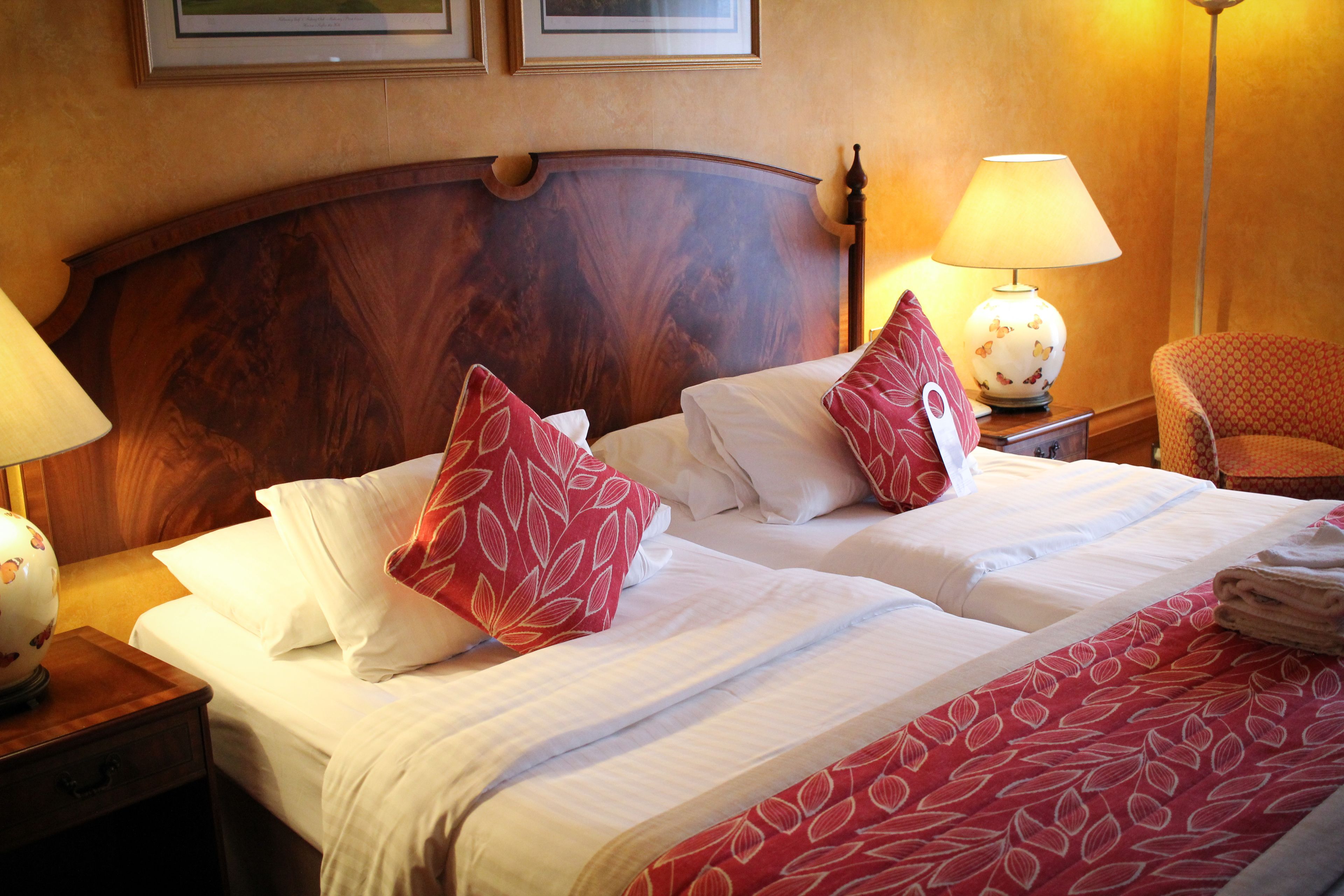 executive room, 2 single beds, non smoking | 1 bedroom, in-room safe, individually decorated, individually furnished