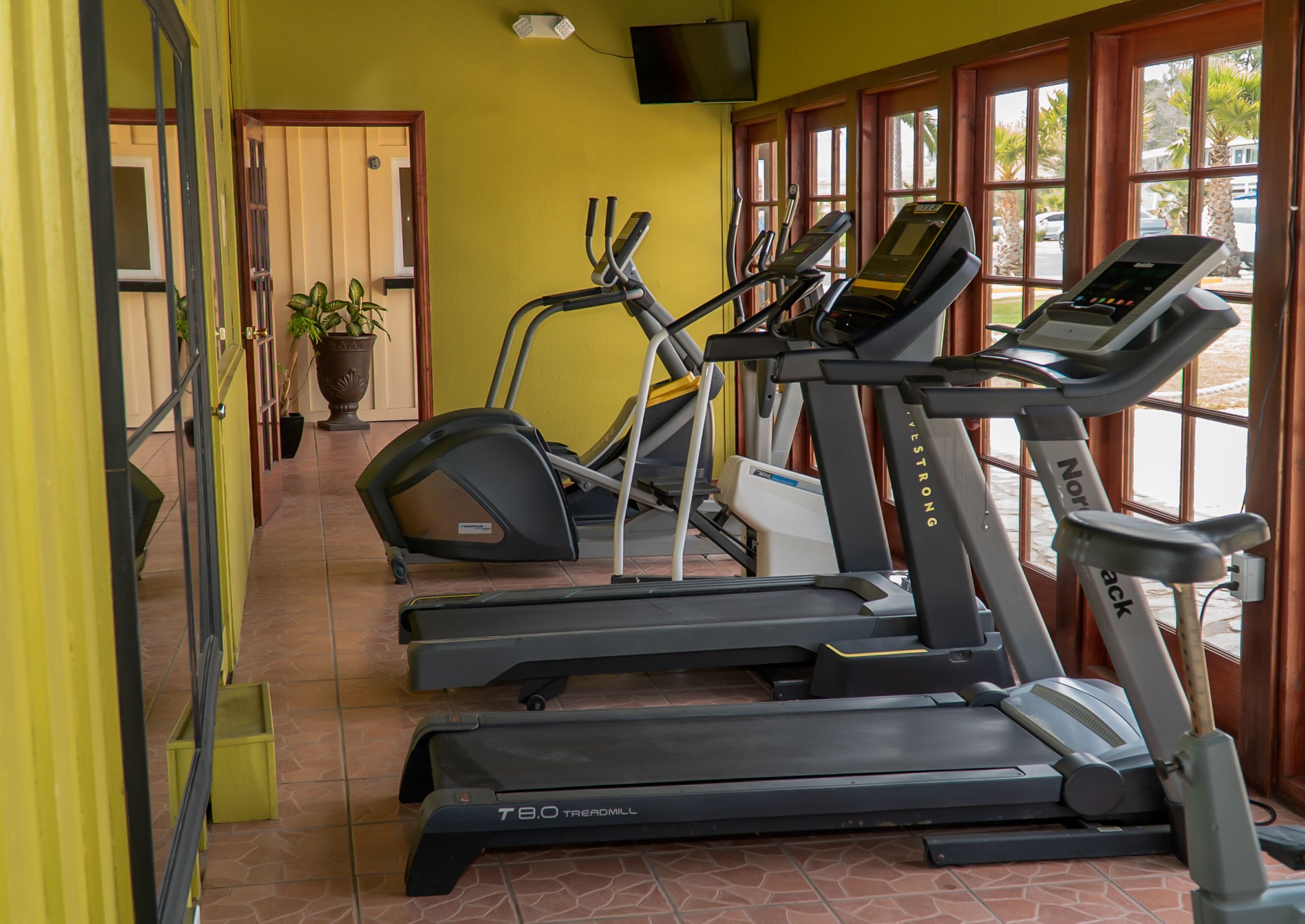 Un gimnasio con cintas de correr y una máquina elíptica, una planta en maceta y un televisor montado en la pared.