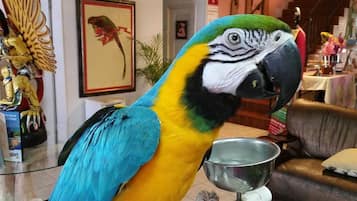 A large parrot statue in a lobby area with a framed artwork on the wall and a table with a metal bowl.
