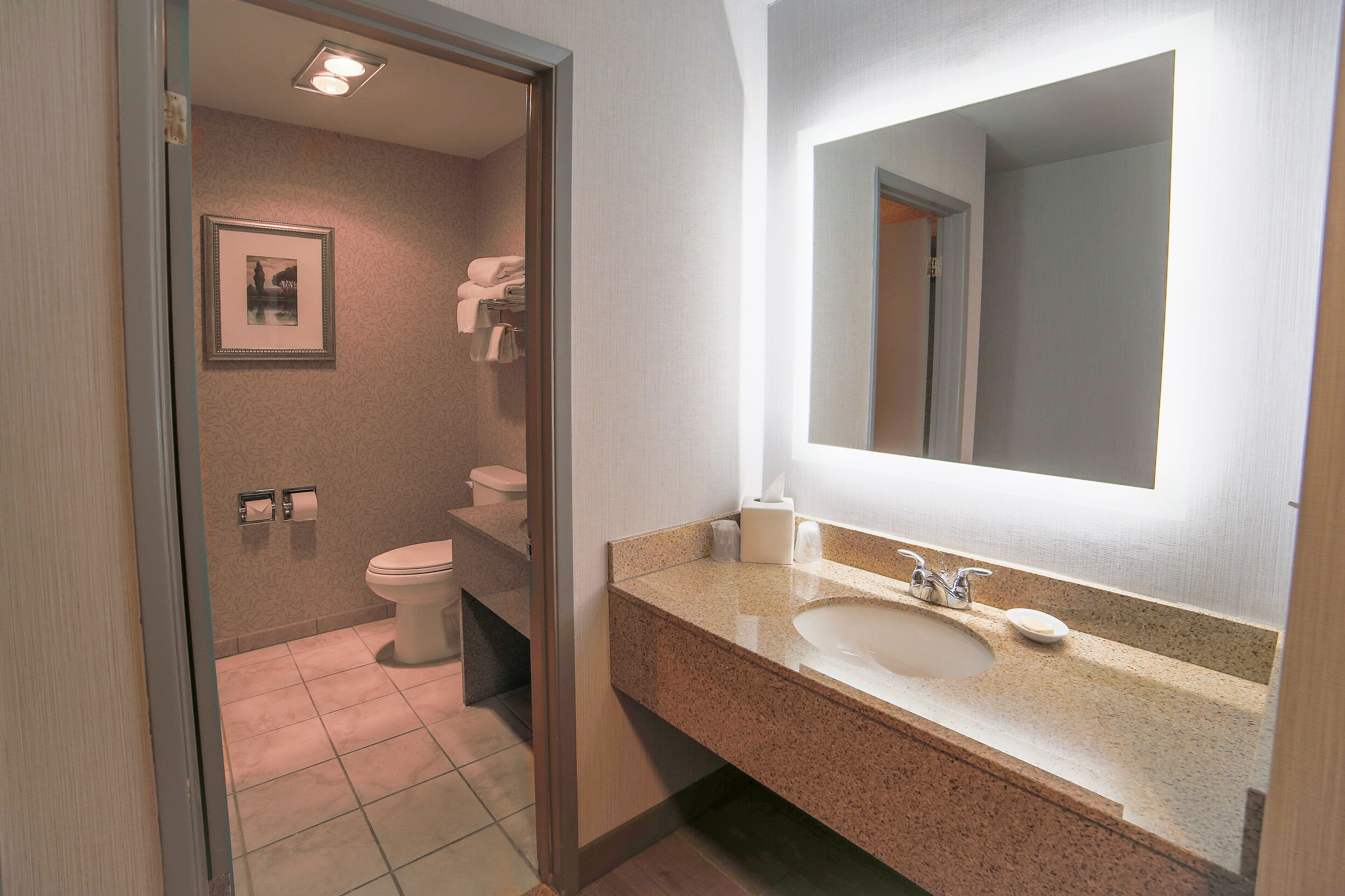 A bathroom with a sink, mirror, toilet, and towel rack.