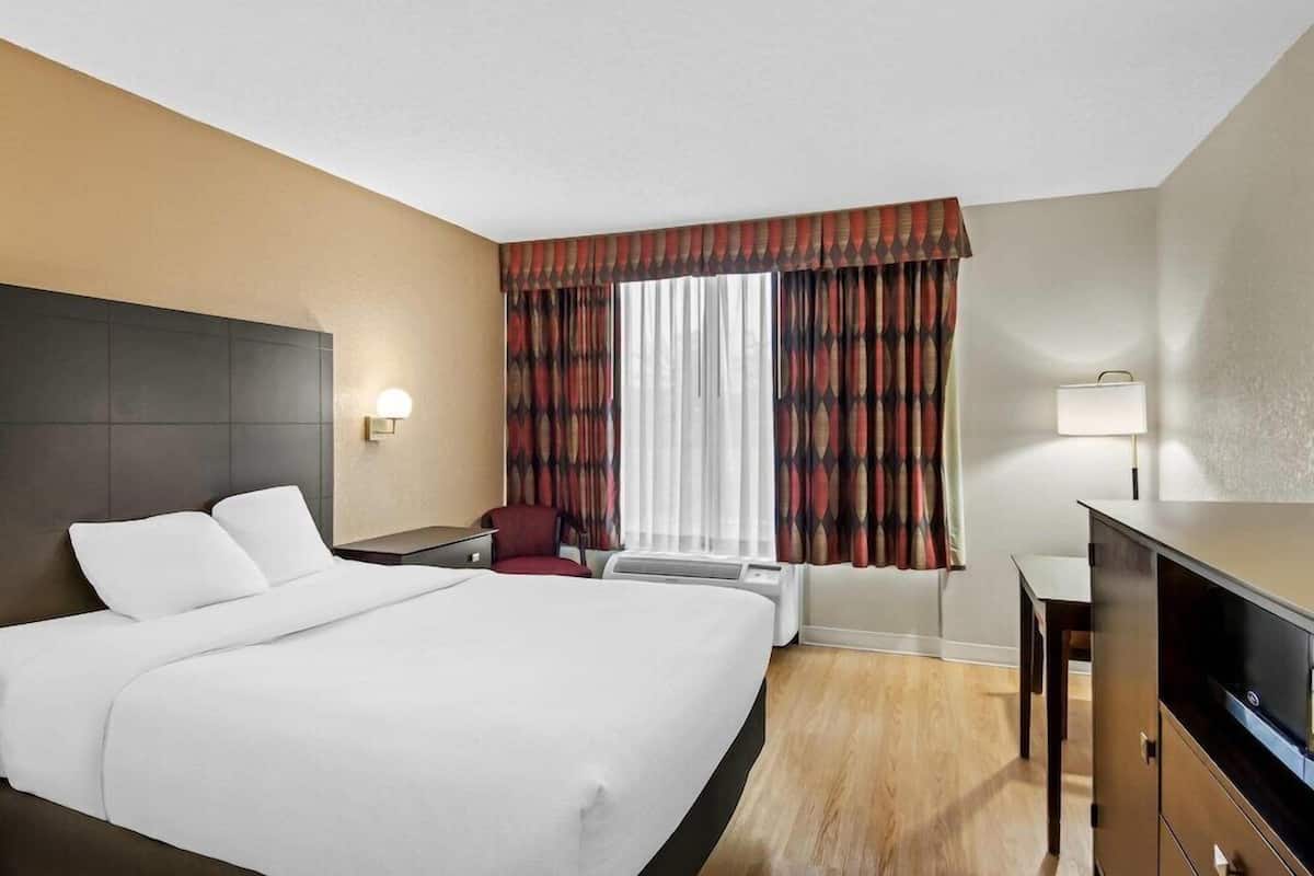 A hotel room with a bed, a desk, a chair, a TV, a lamp, and a window with curtains.