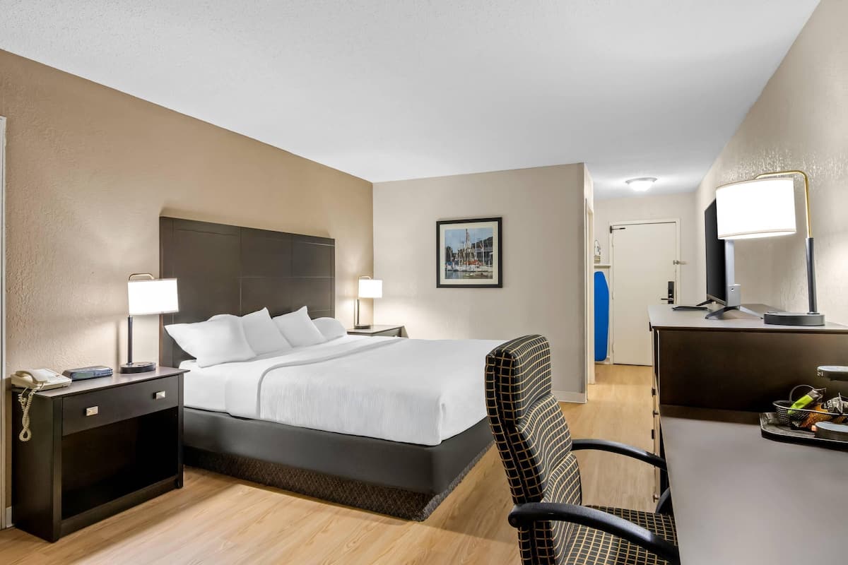 Standard Room, 1 King Bed, Non Smoking | Desk, laptop workspace, blackout drapes, iron/ironing board