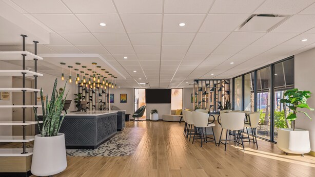 A modern reception area with a wooden floor, white reception desk, and a seating area with white chairs. - B&B Hotel Orlando International Drive Near Universal - Newly Renovated! (Orlando)