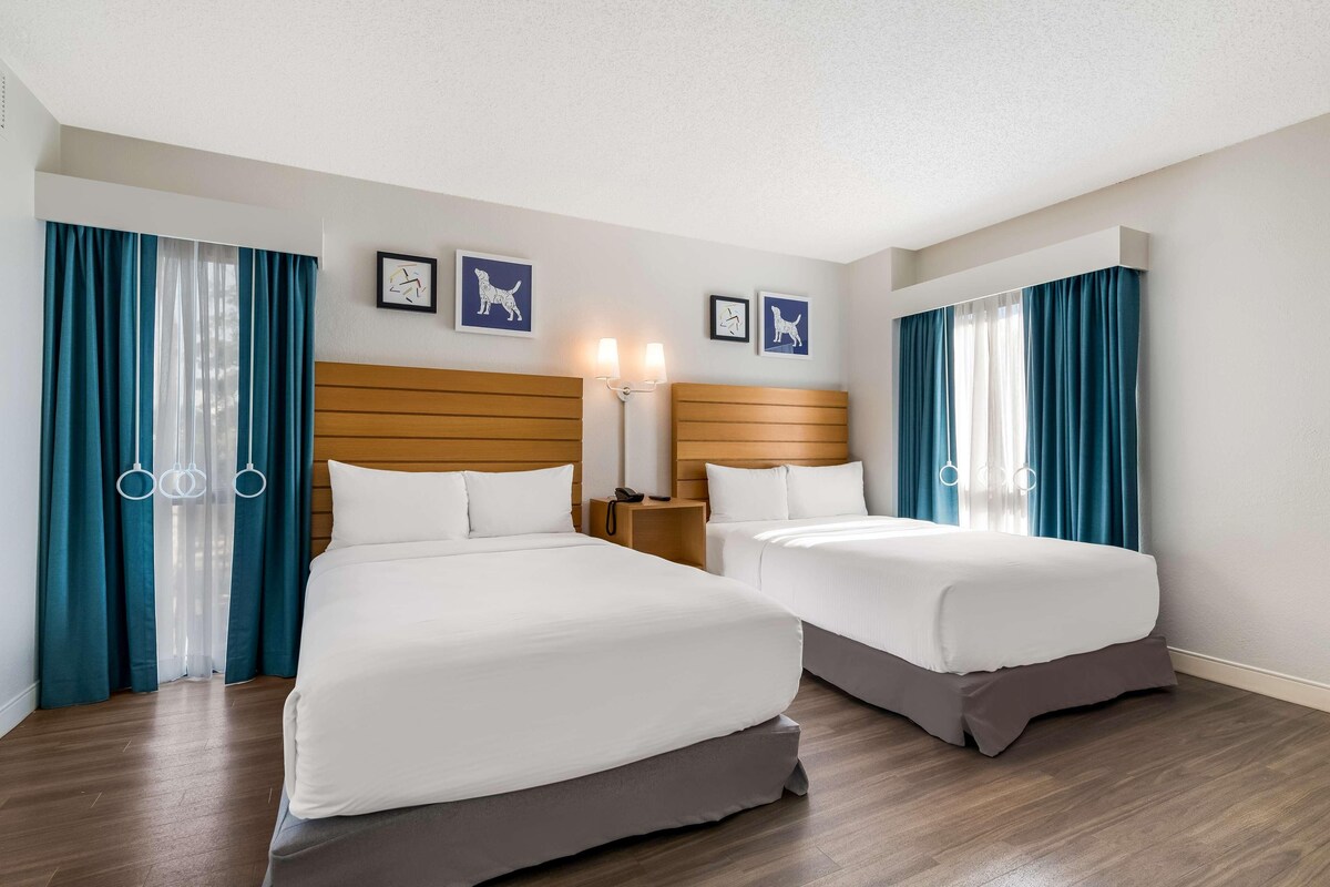 1 habitación, sábanas de algodón egipcio y ropa de cama de alta calidad 
