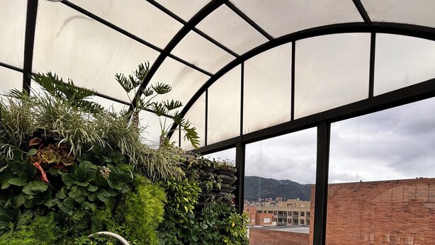Un bain à remous entouré d’une végétation luxuriante, installé sur une terrasse en bois, avec vue sur le paysage urbain à travers de grandes fenêtres.