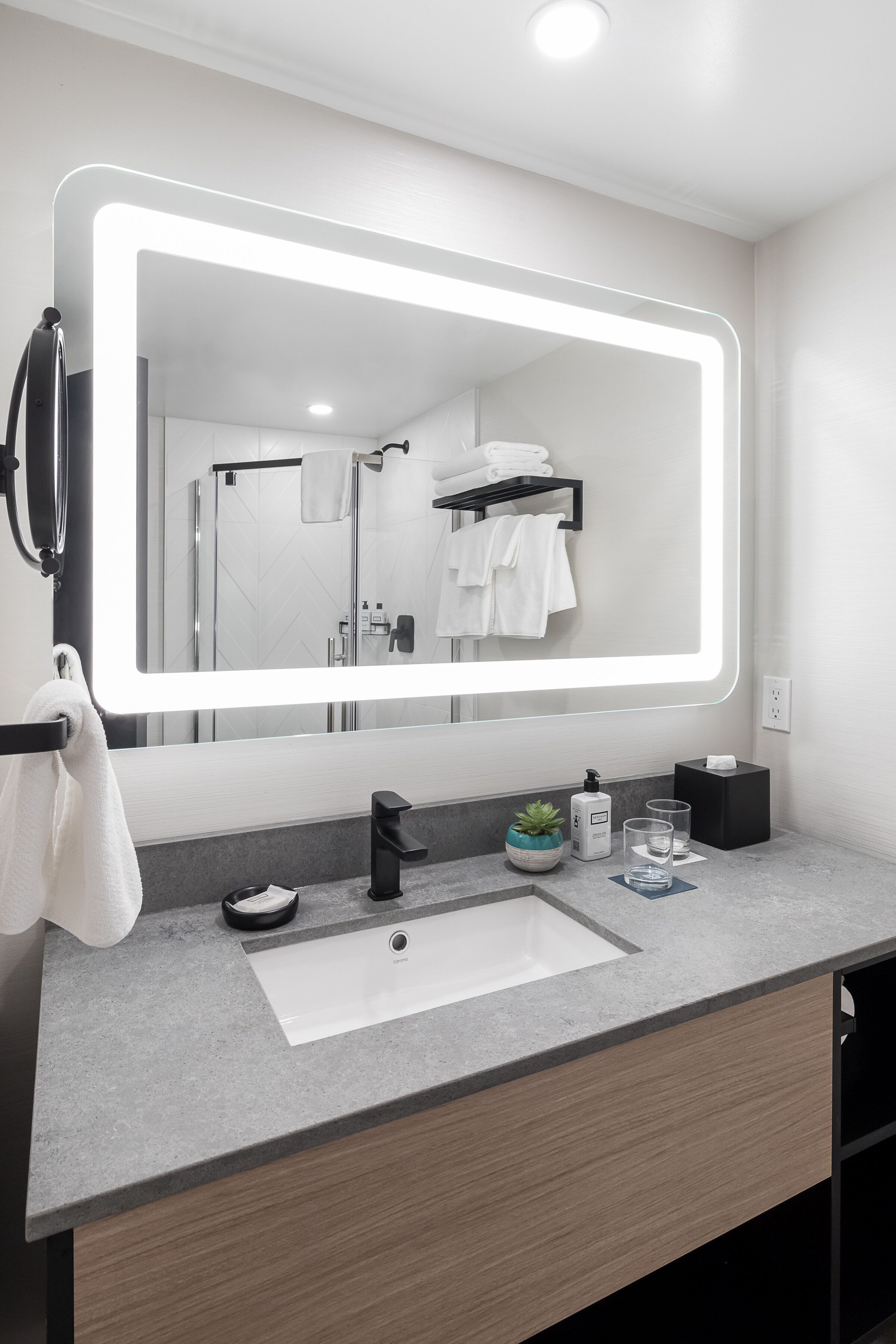 A modern bathroom with a large mirror, a sink, a towel rack, and a small potted plant.