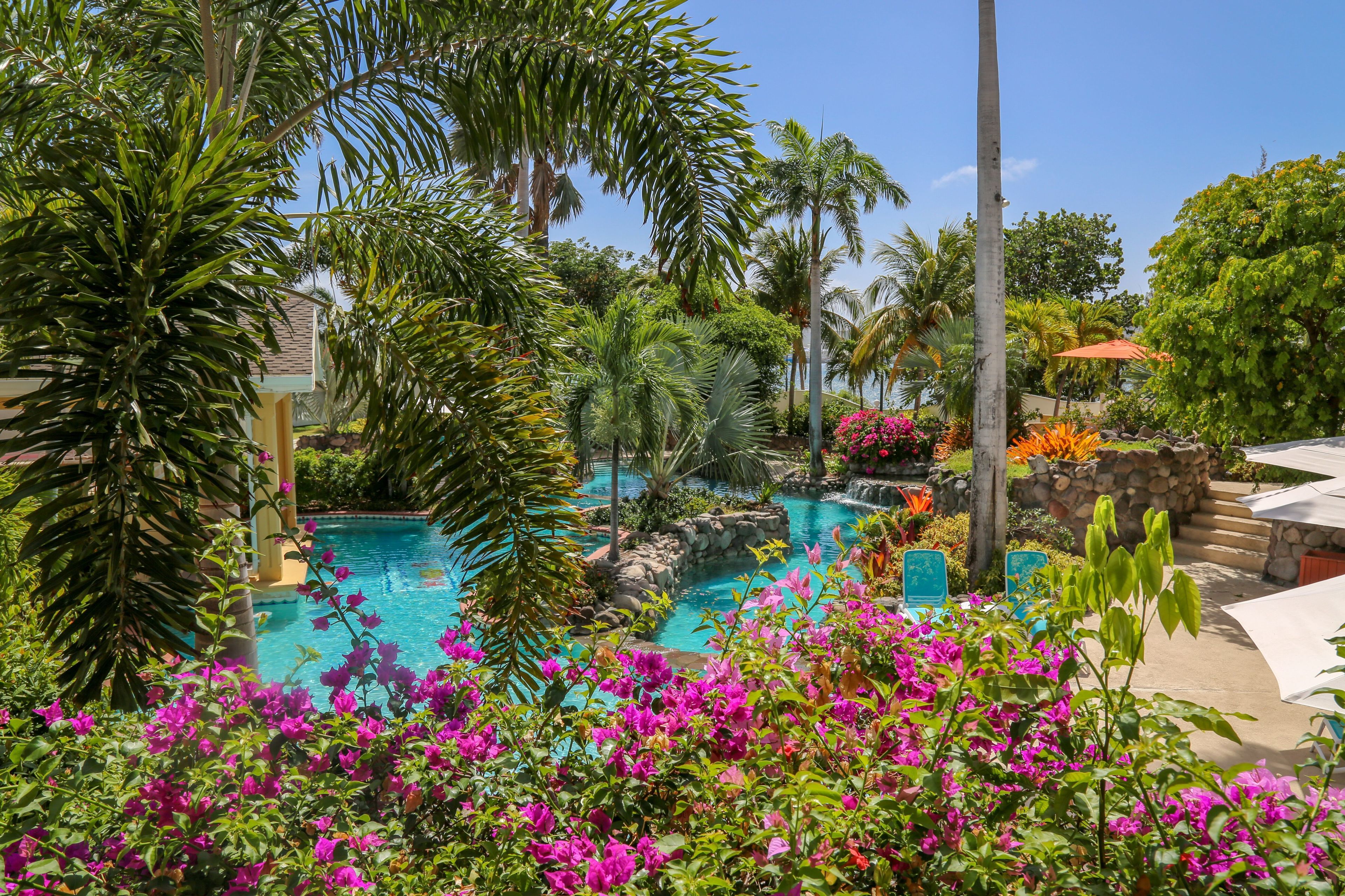 Luxury- Poolside/Garden View Room | View from room