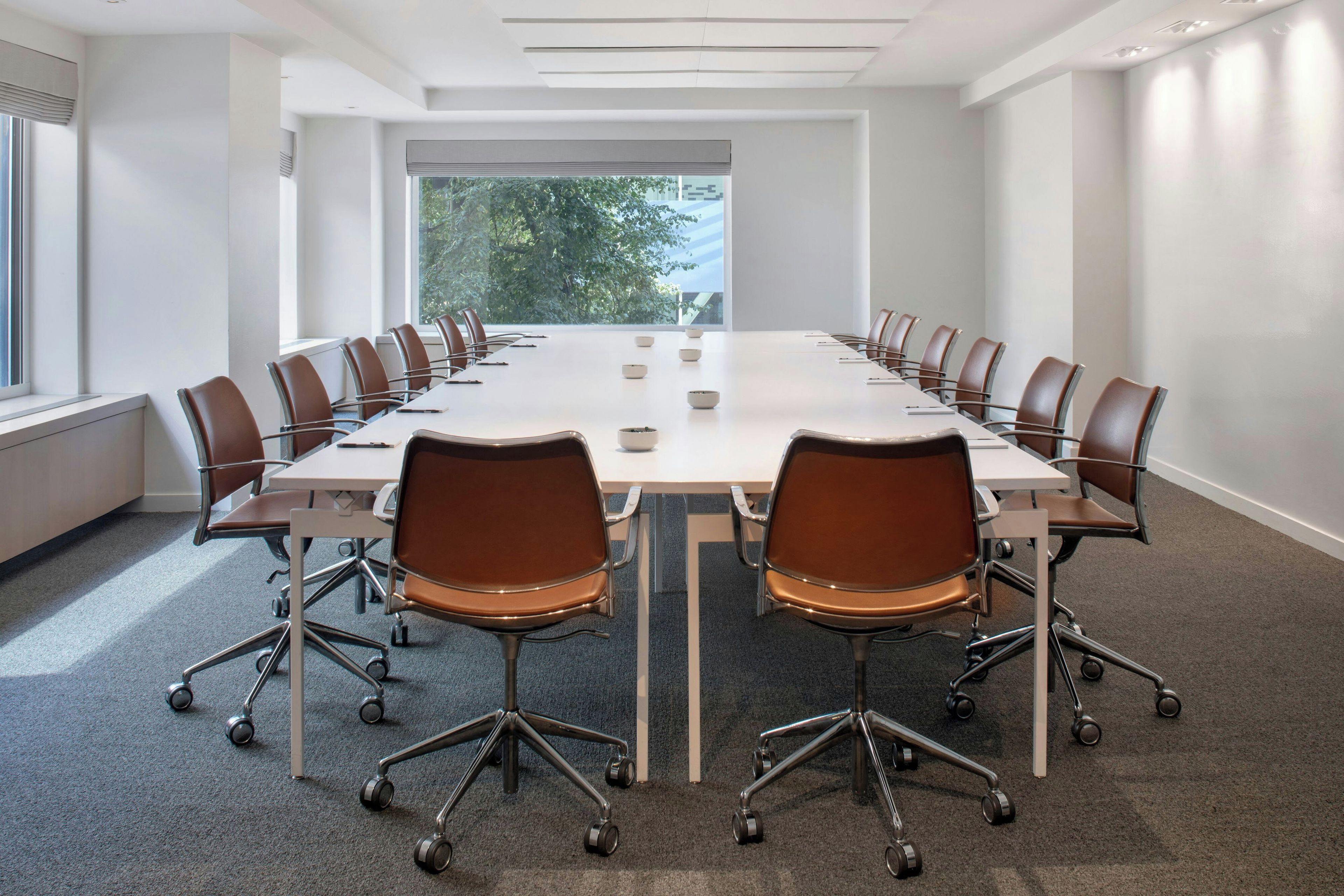 A conference room with a long table, chairs, and a view of trees through the windows.