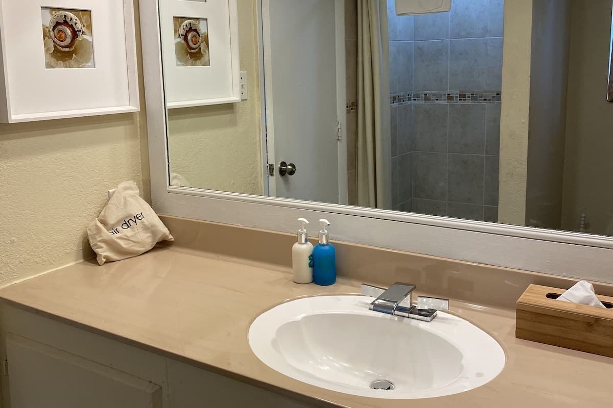 Shower, free toiletries, hair dryer, towels