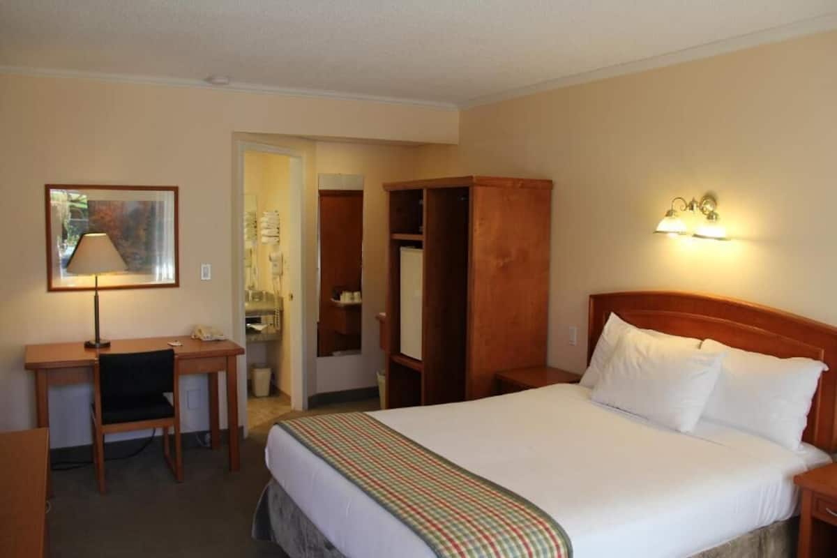 A hotel room with a bed, a desk, a chair, a wardrobe, and a mirror.