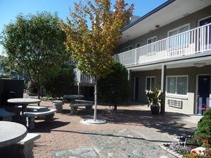 Relax in our serene courtyard, surrounded by natural beauty and comfortable seating.