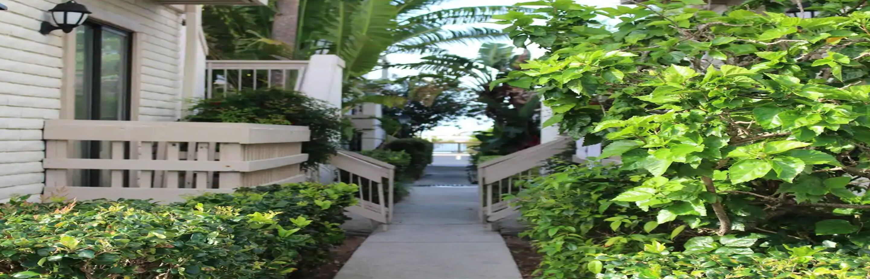 Foto - Chase Suite Hotel Rocky Point Tampa