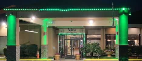 A hotel entrance with a 'Welcome' sign, green lighting, and potted plants.