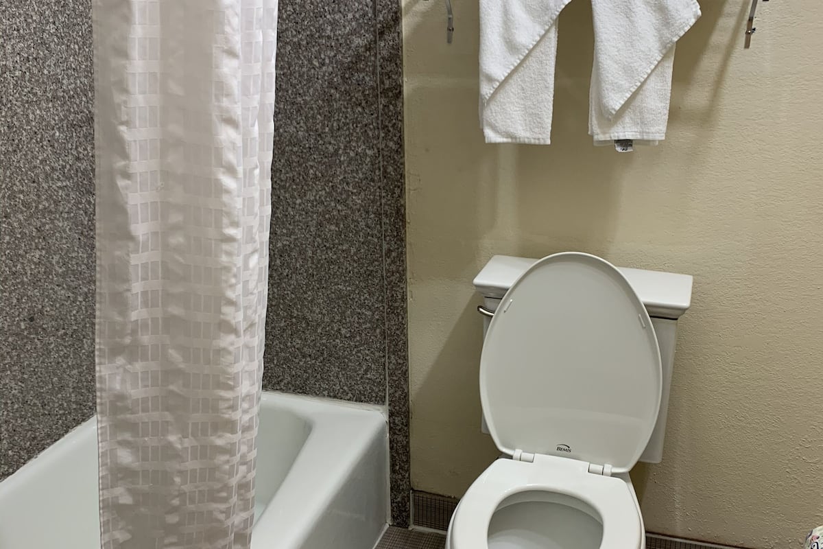 combined shower/bathtub, free toiletries, hair dryer, towels