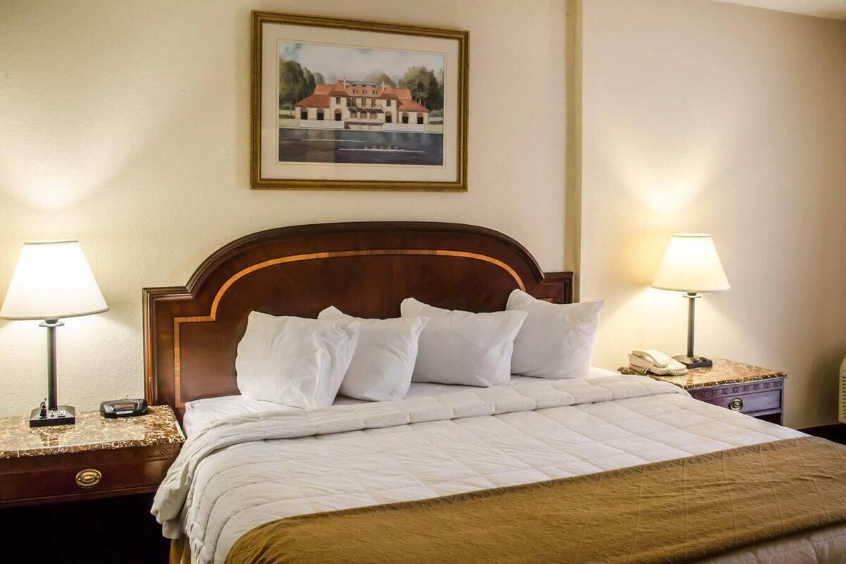 Suite, 1 King Bed | Desk, blackout drapes, iron/ironing board, cribs (free)