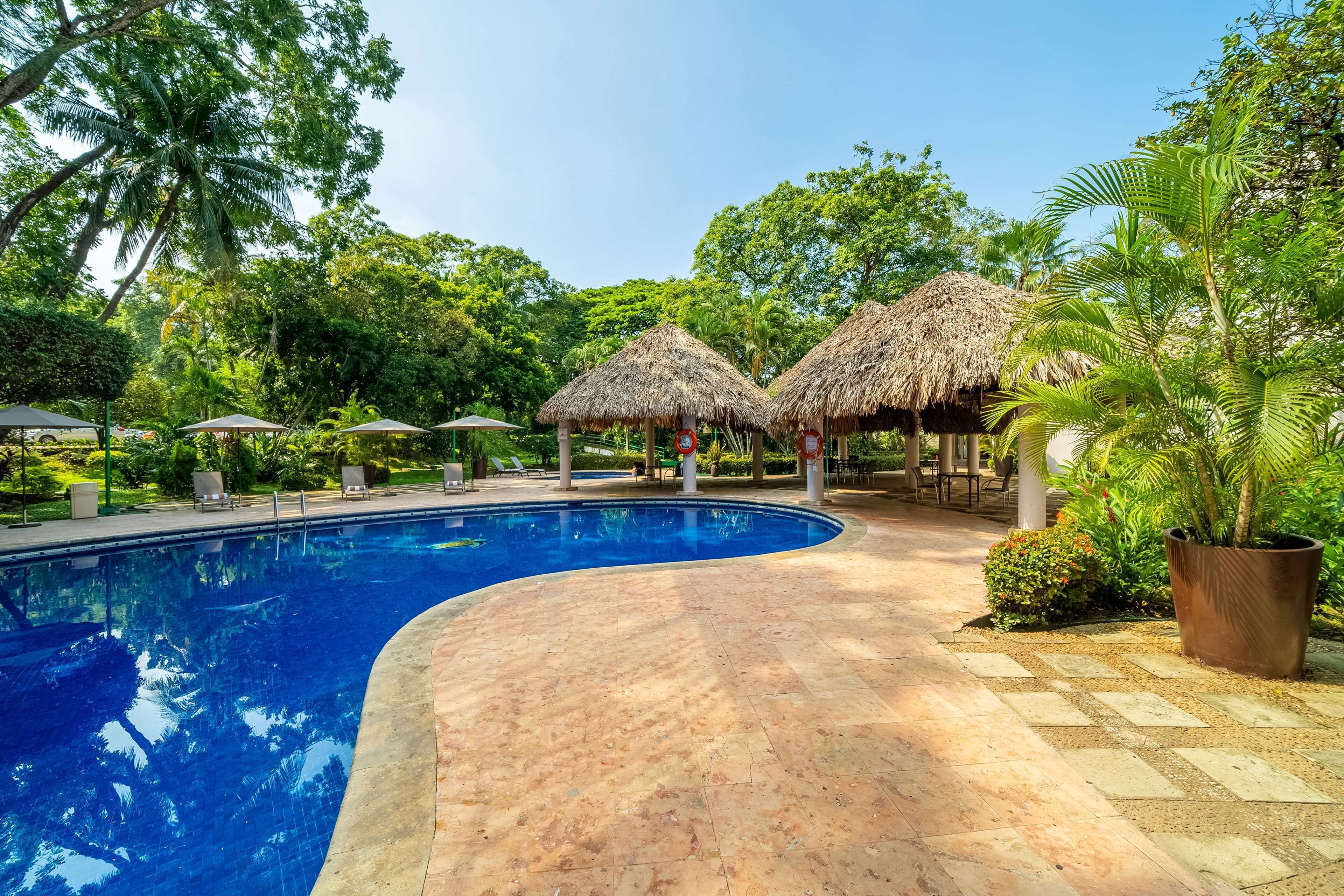 A swimming pool with a tiled deck, surrounded by lush greenery and thatched-roof structures.