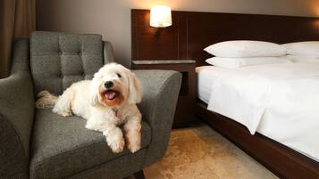Una habitación de hotel con una cama, una mesita de noche, una lámpara y un perro sentado en una silla.