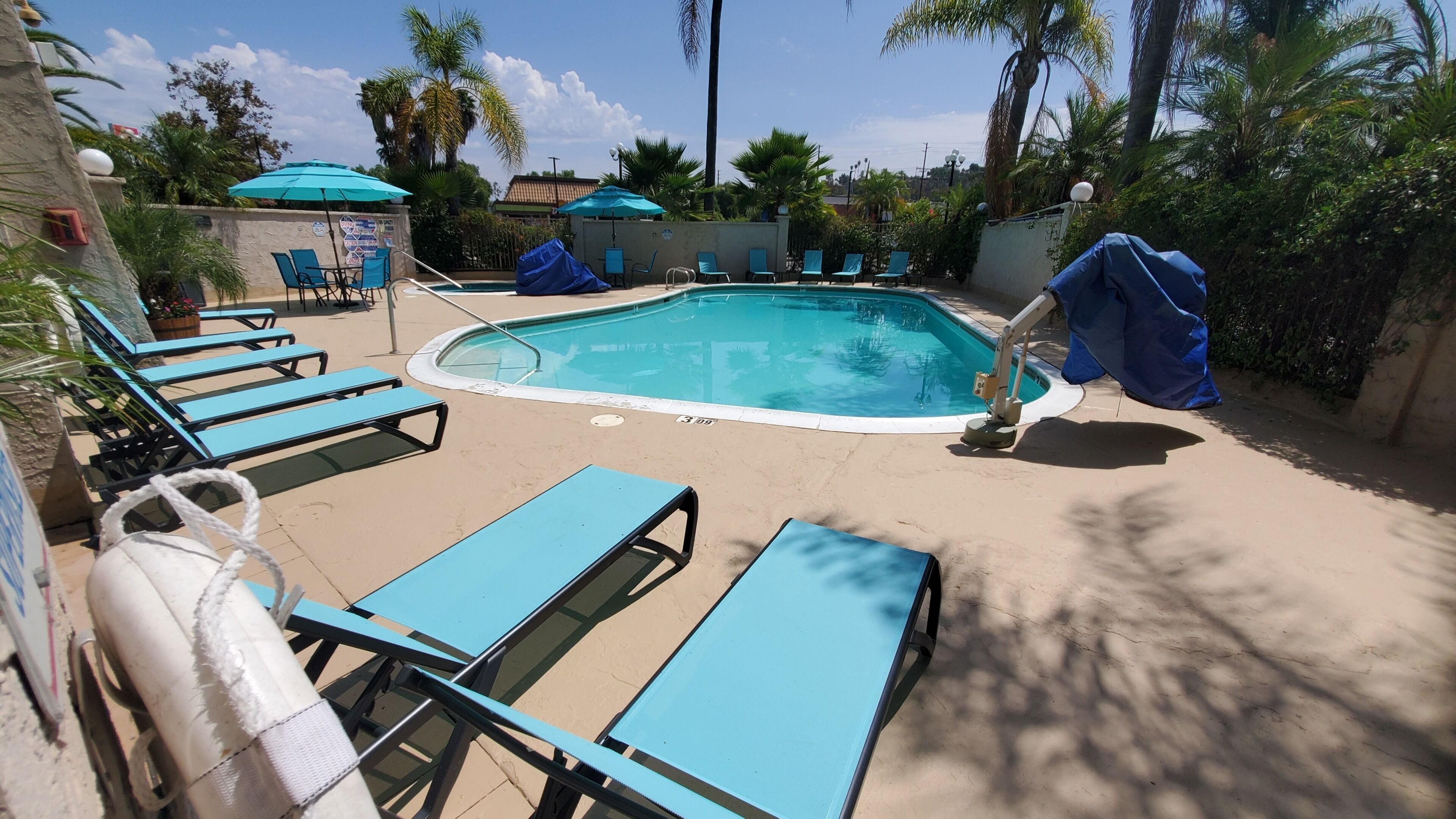 Ein Poolbereich mit Liegestühlen und Sonnenschirmen.