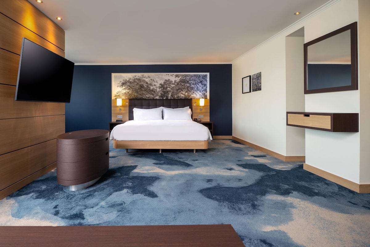 Suite junior, 1 cama King size, vista al río | Ropa de cama de alta calidad, edredón y minibar