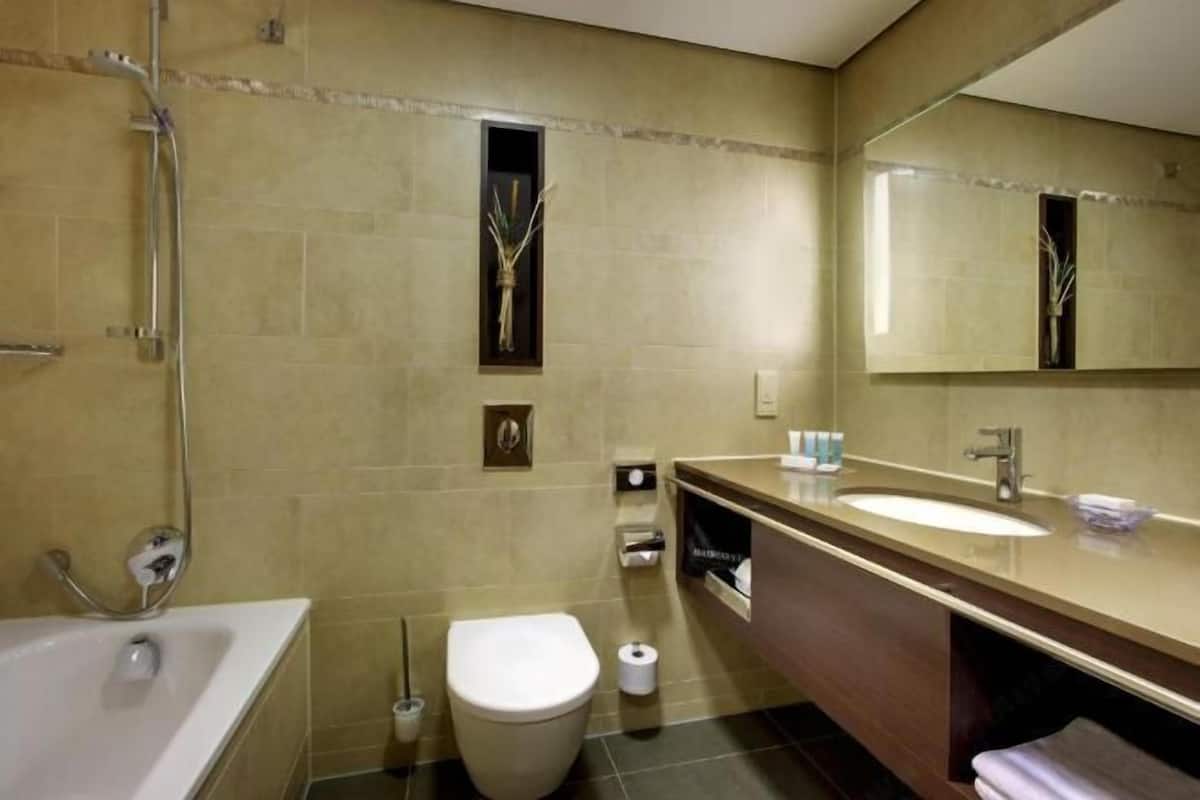 Bañera con ducha, artículos de tocador de diseñador, secador de pelo