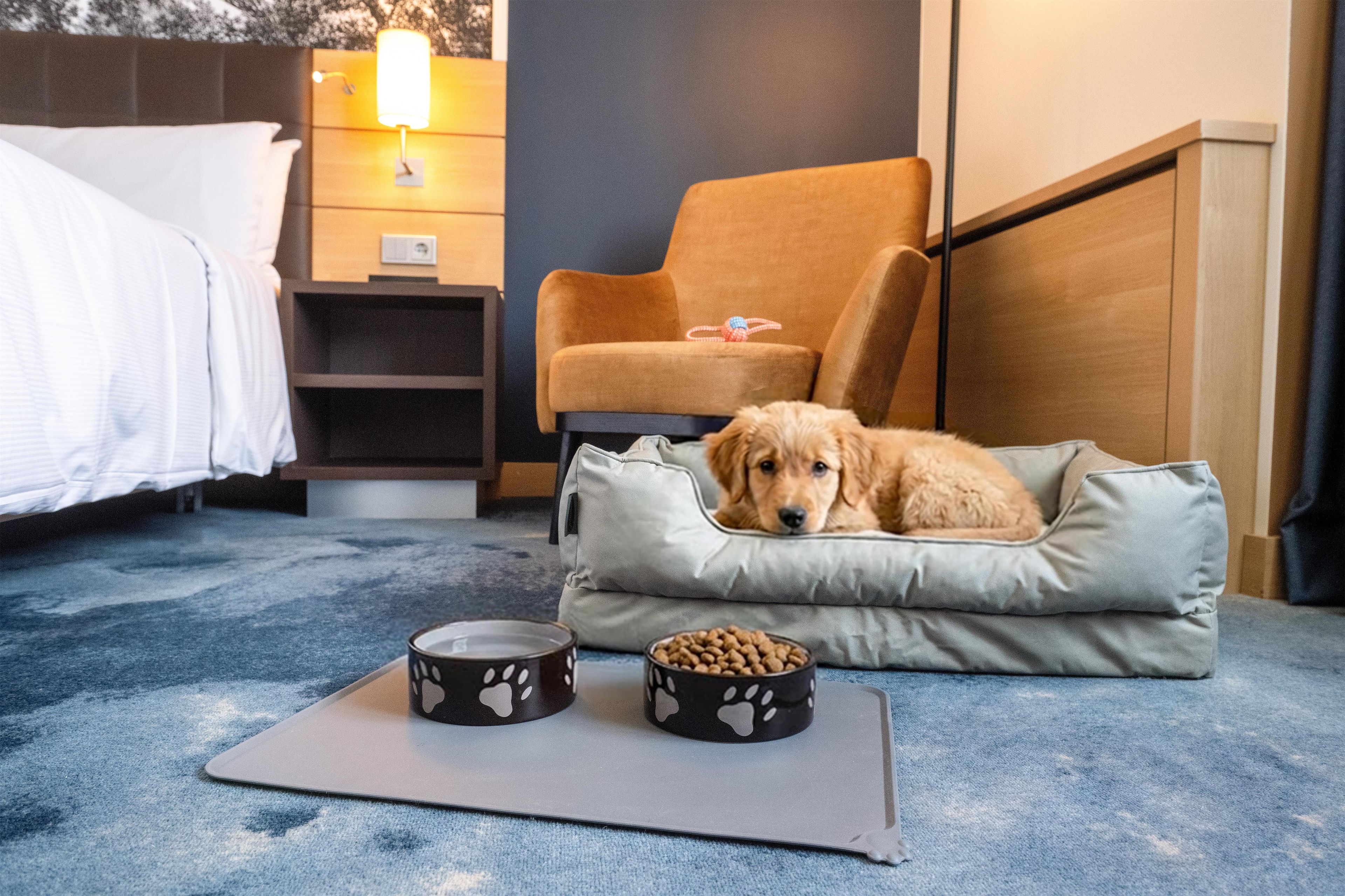 A pet-friendly room with a dog bed, two pet bowls, and a yoga mat.