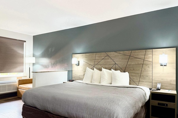 Suite King Non Smoking 2 person Sofabed | Premium bedding, desk, laptop workspace, blackout drapes
