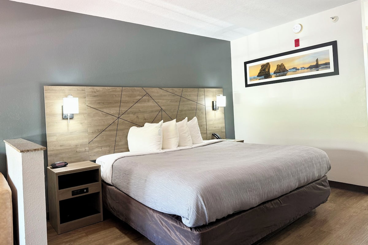 Suite King Non Smoking 2 person Sofabed | Premium bedding, desk, laptop workspace, blackout drapes