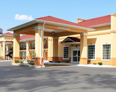 Primary image