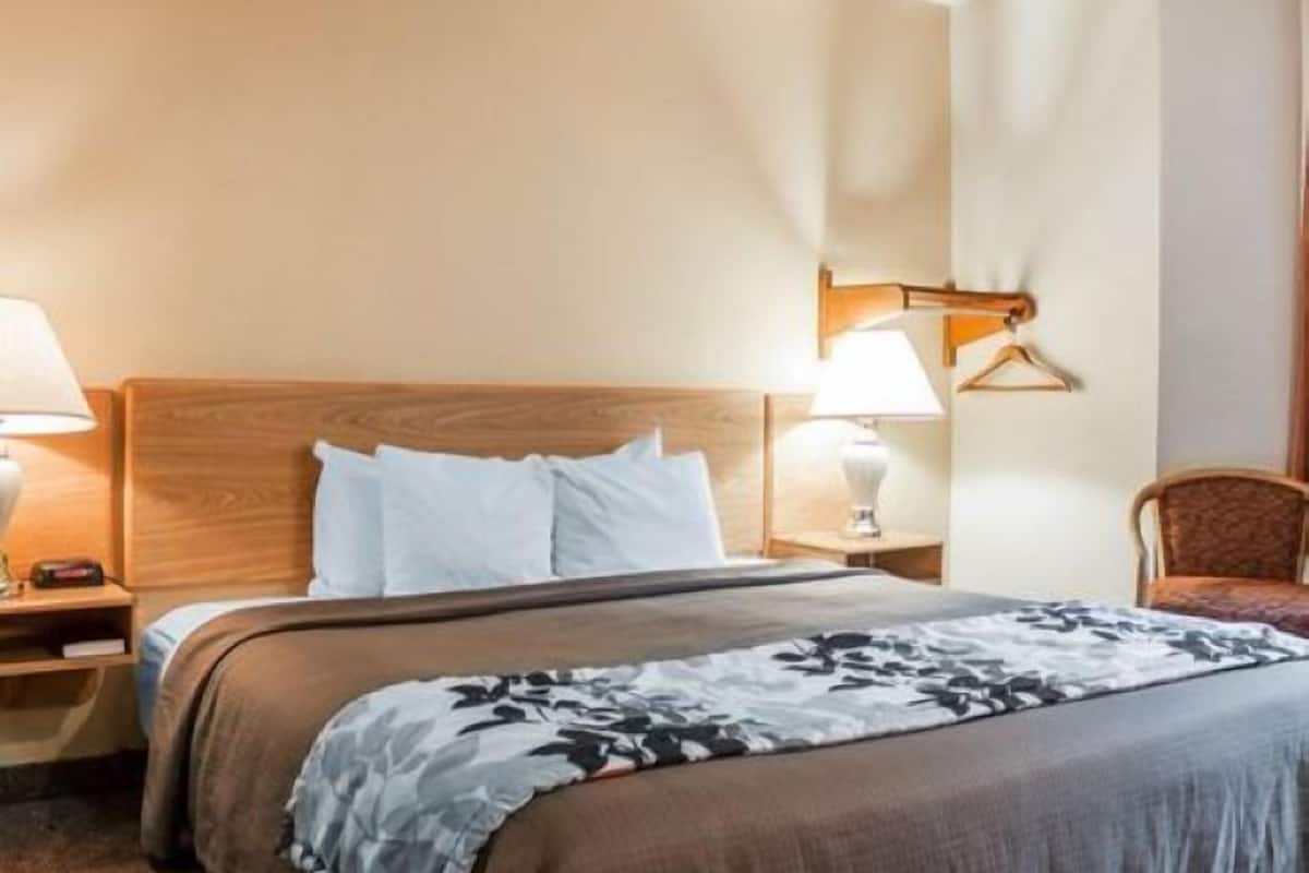 room, 1 king bed, non smoking (pet friendly) | pillow-top beds, desk, laptop workspace, iron/ironing board