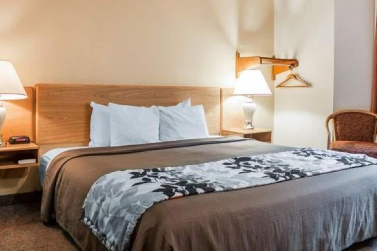 Zimmer, 1 King-Bett, Nichtraucher (Pet Friendly) | Pillowtop-Betten, Schreibtisch, laptopgeeigneter Arbeitsplatz