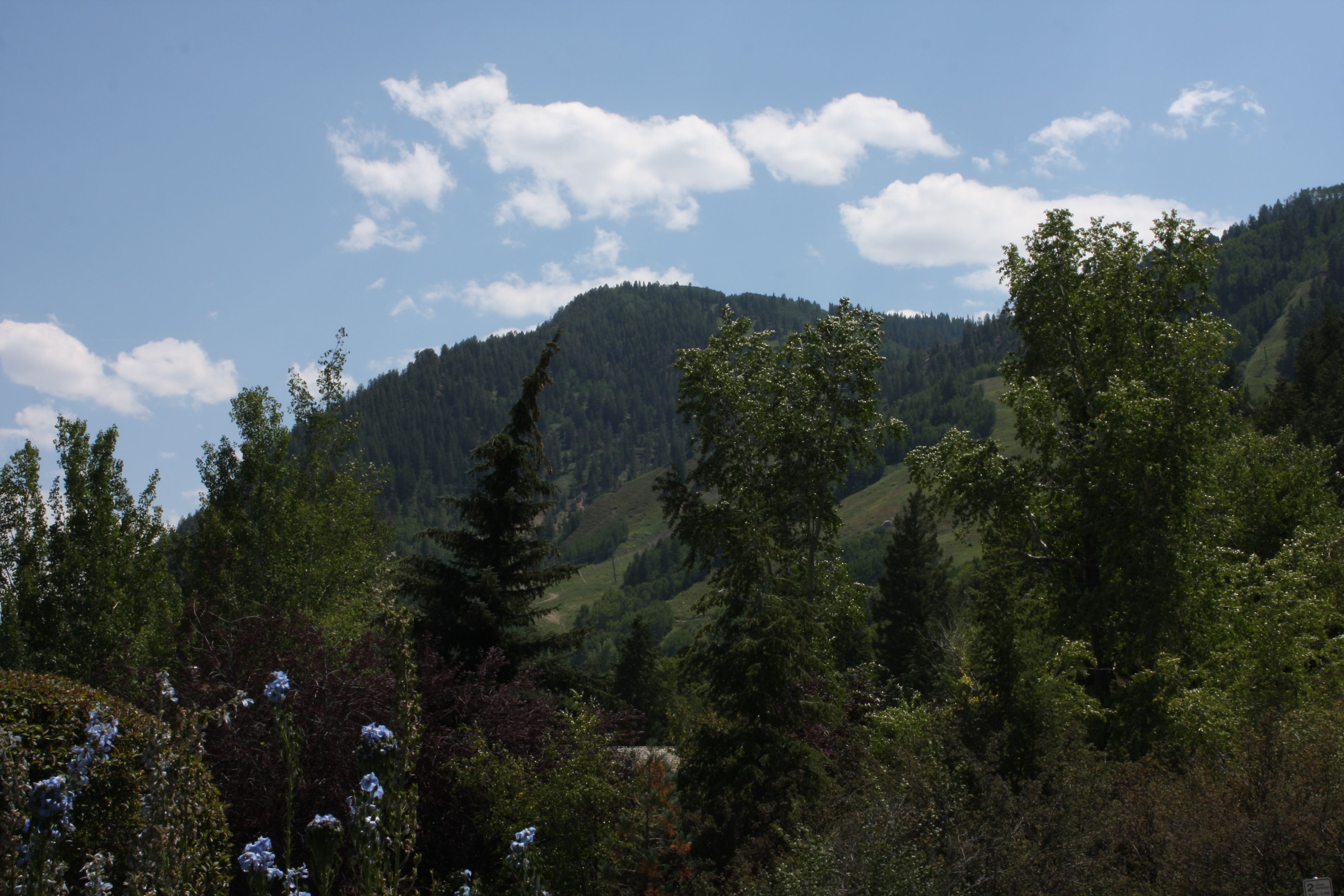 Un paisaje montañoso con bosque denso y cielo despejado.
