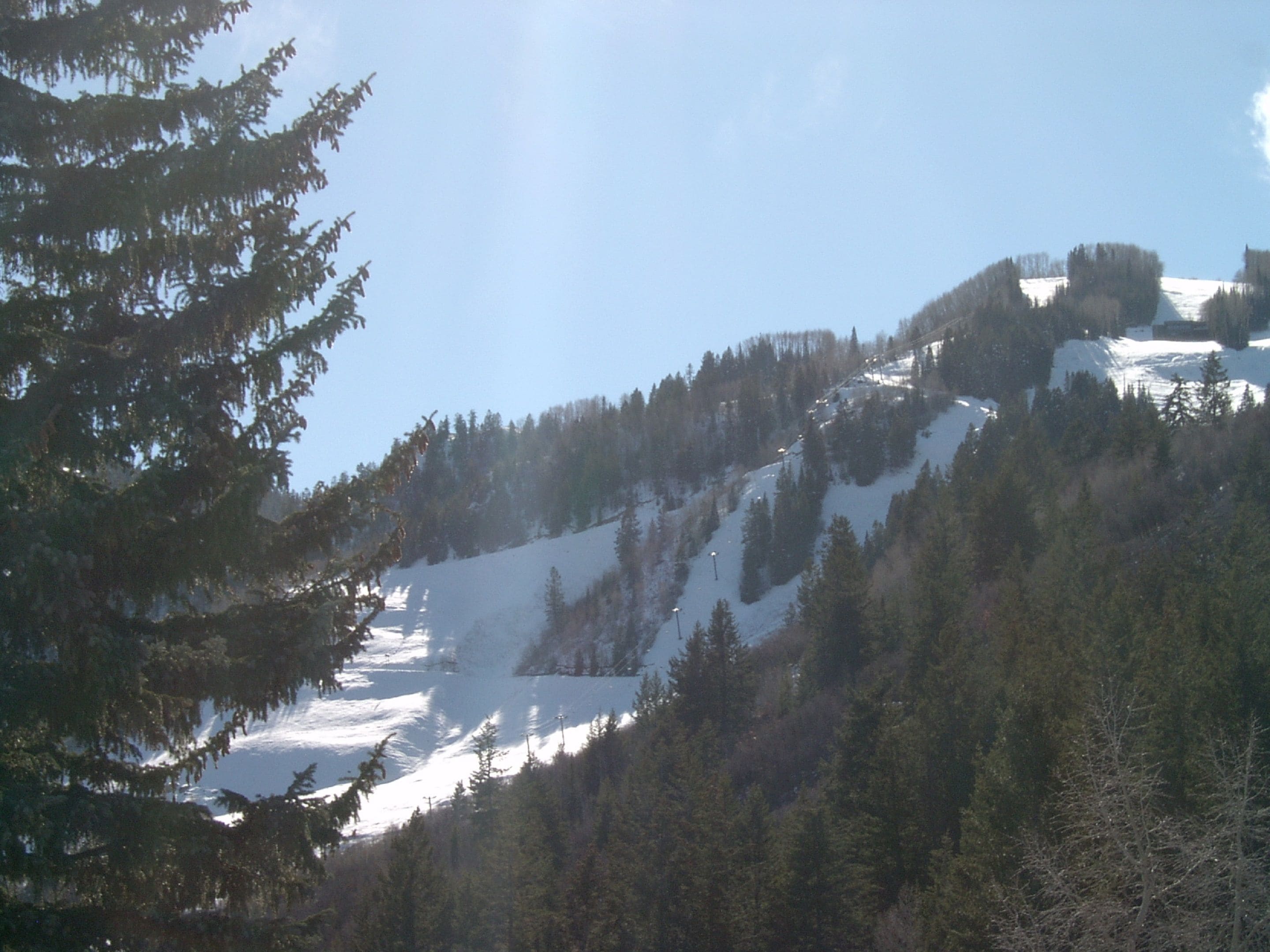 A mountainous landscape with dense forests and a snow-covered slope.