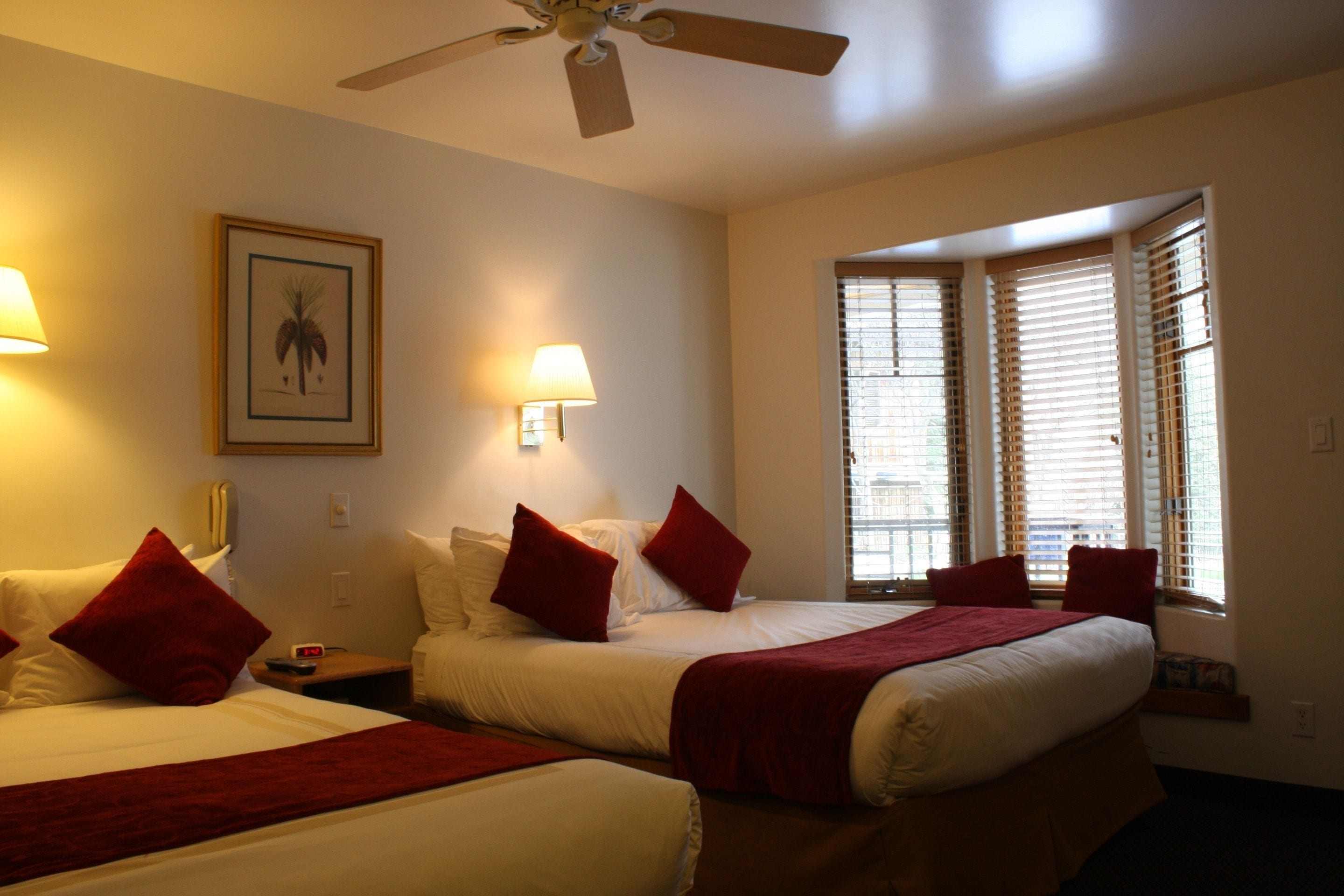 standard room, 2 queen beds, kitchenette, pool view | view from room