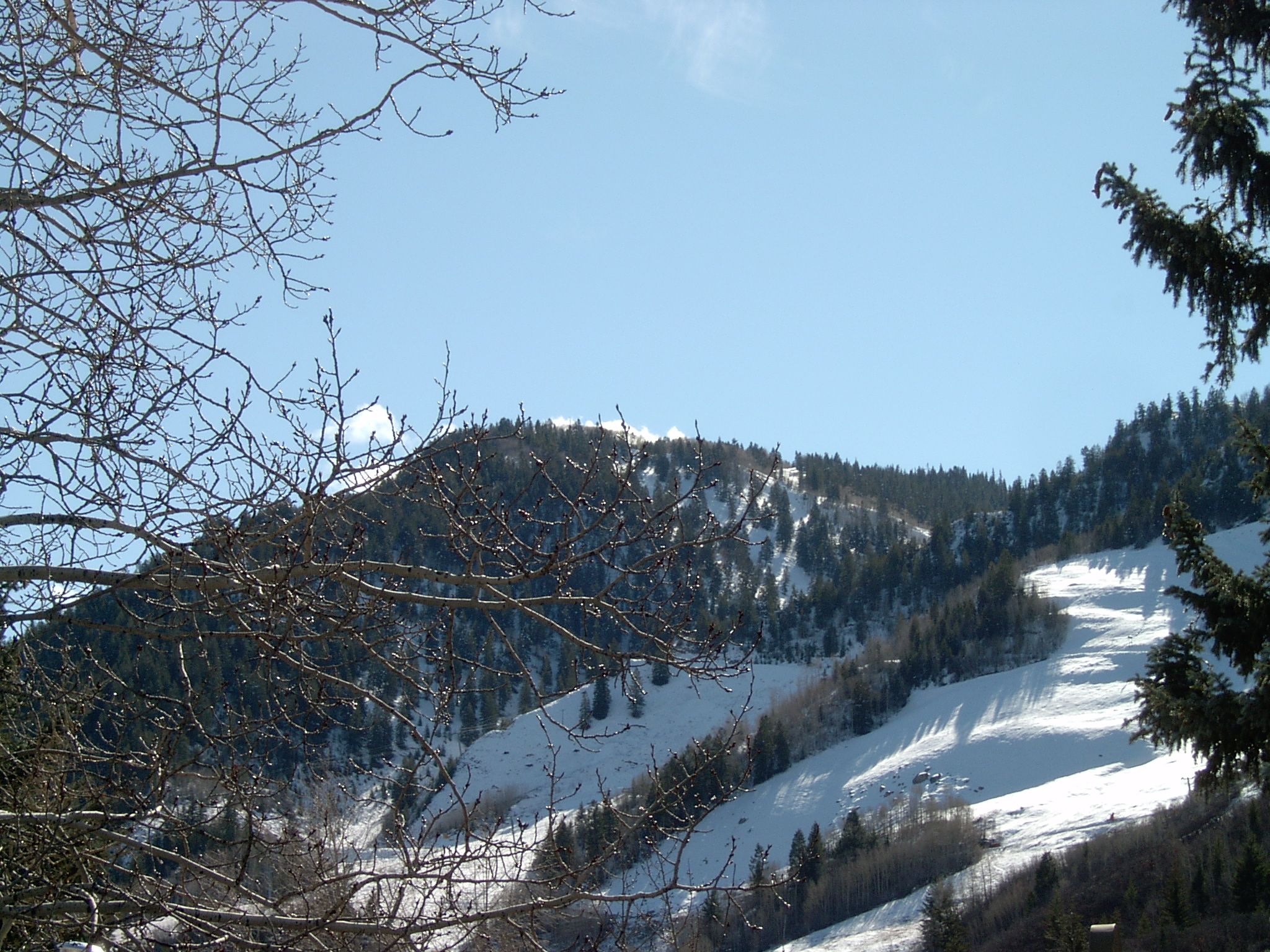 A mountainous landscape with snow-covered slopes and sparse trees.
