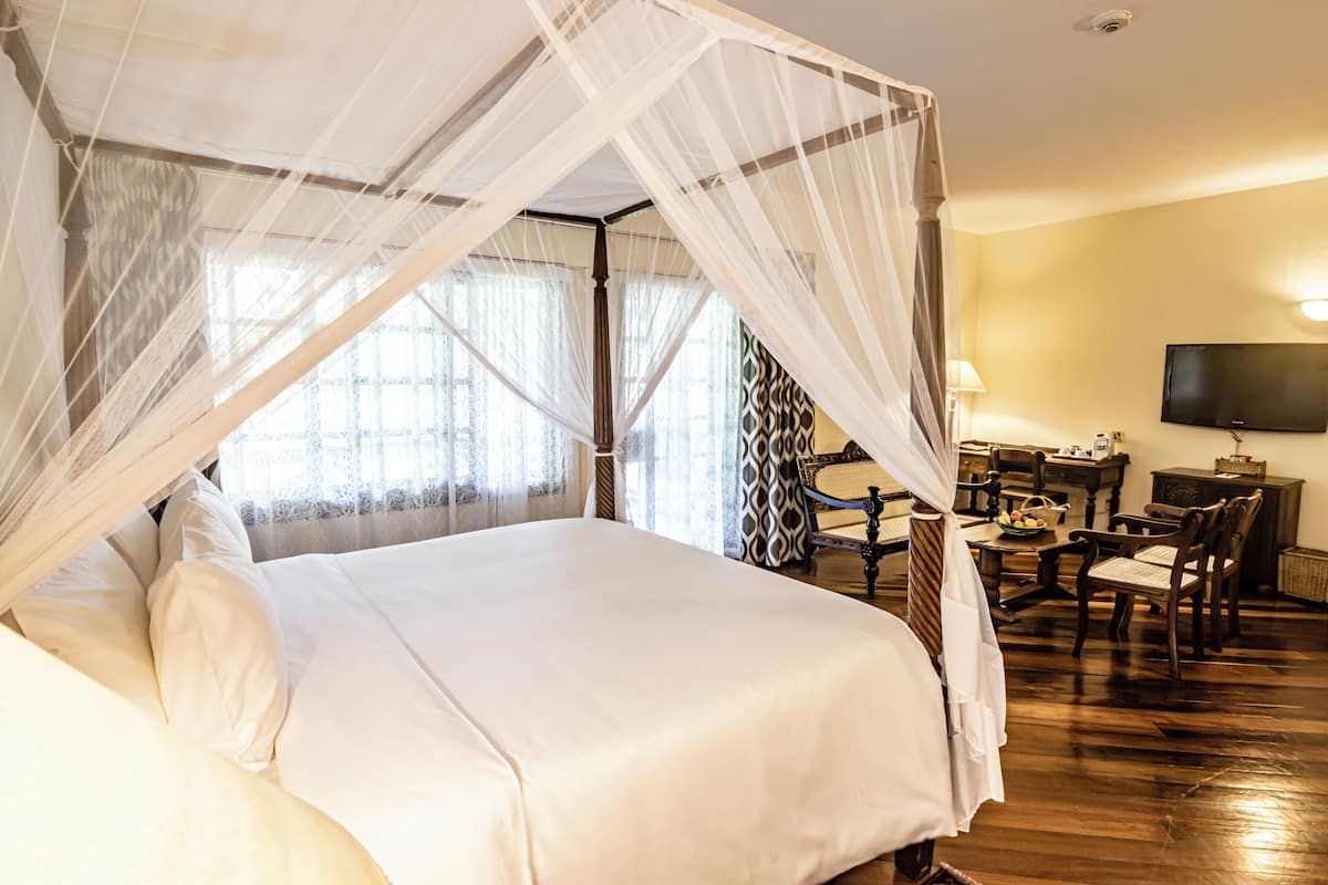 Suite júnior | 1 dormitori, minibar, caixa forta a l'habitació i escriptori