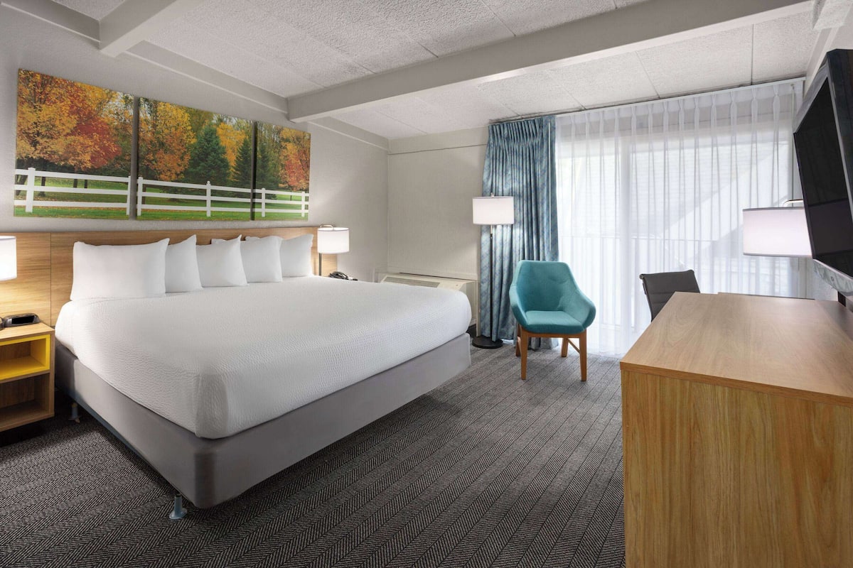 A hotel room with a large bed, a desk, a chair, and a TV.