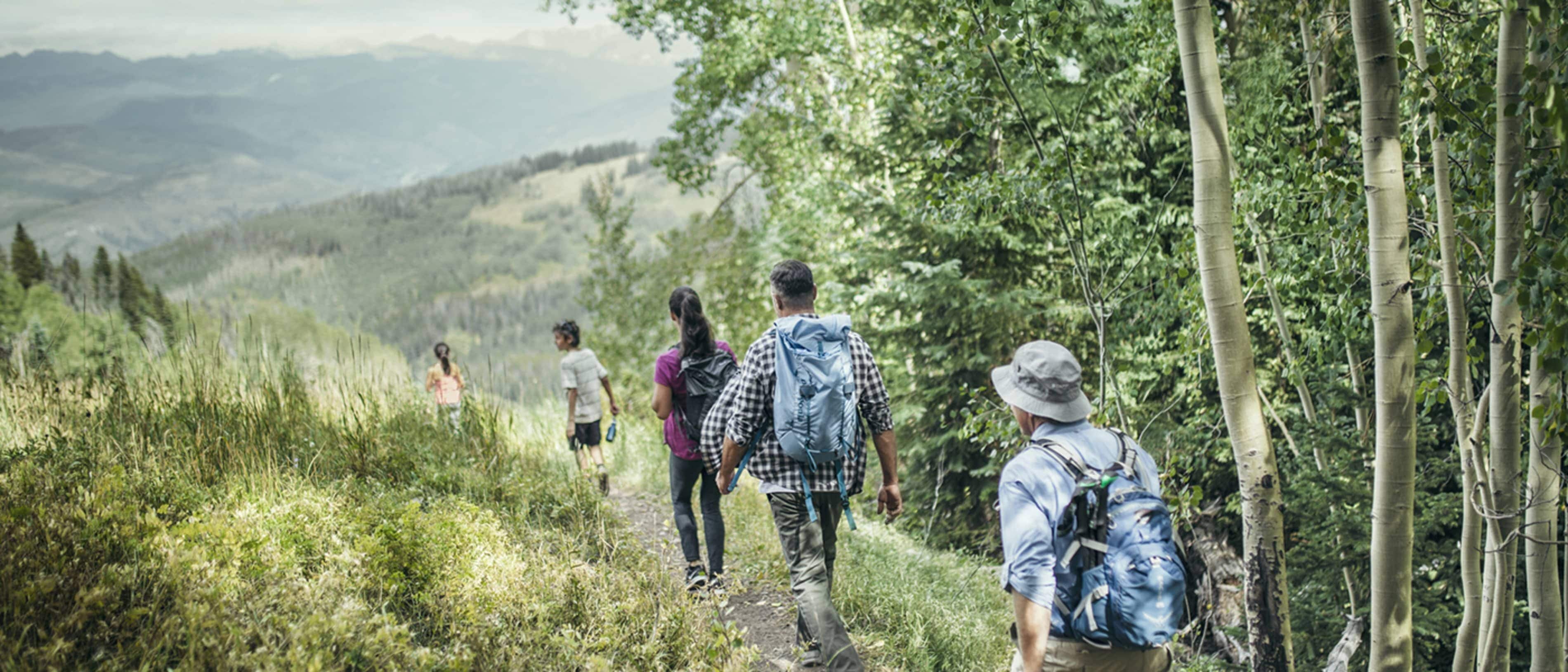 Um grupo de caminhantes numa trilha florestal com montanhas ao fundo.