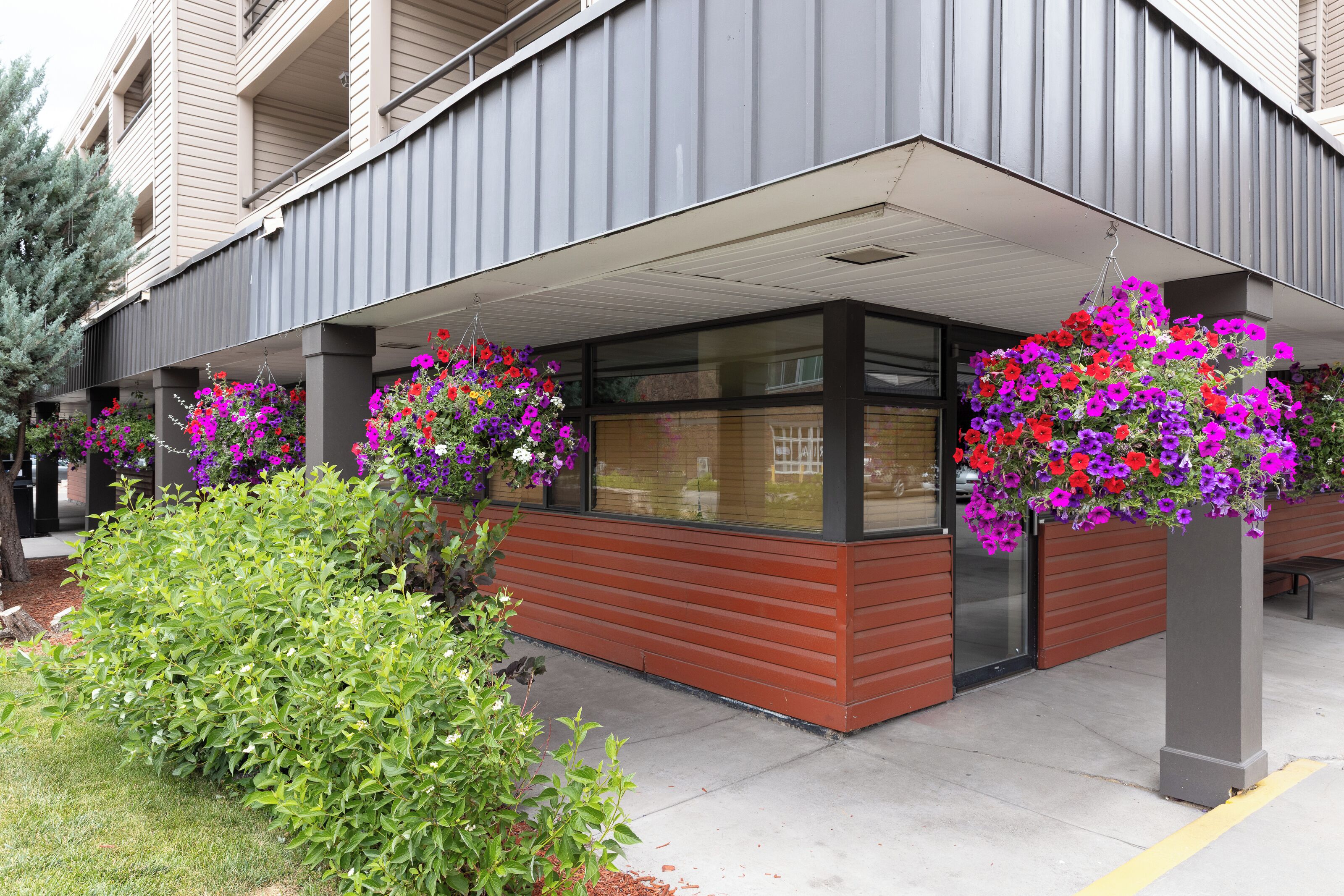 A modern building with a covered entrance area, large windows, and hanging flower baskets.