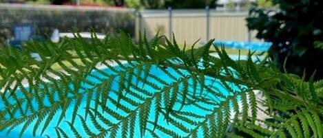 A pool area with a blue canopy and surrounding greenery.