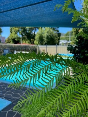 Piscine extérieure (ouverte en saison)