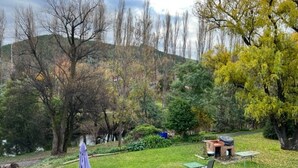 A grassy outdoor area with a barbecue grill, picnic tables, and a bench. - Riverbank Park Motel (Bright)