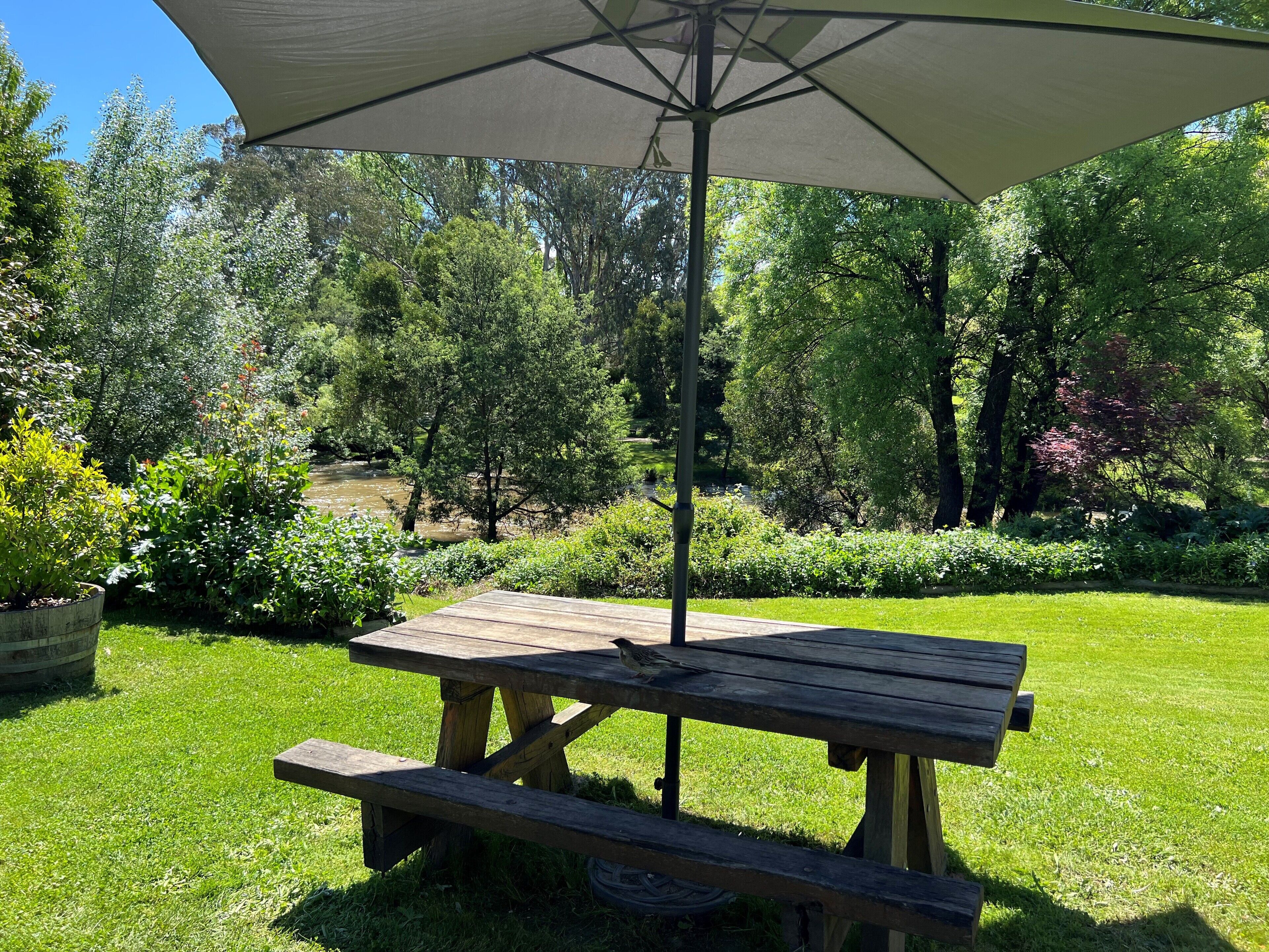 A wooden picnic table with a canopy, surrounded by lush greenery and trees.