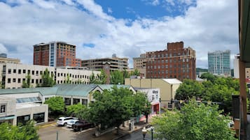 City view from property