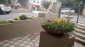 Fountain