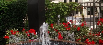 Downtown Inn and Suites