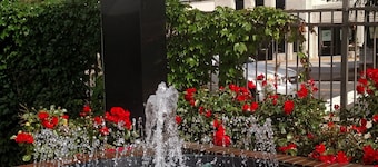 Downtown Inn and Suites