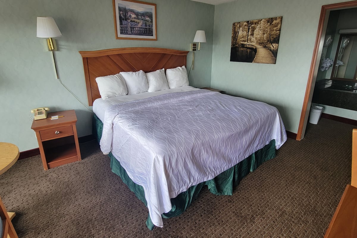 Basic Room, 1 King Bed