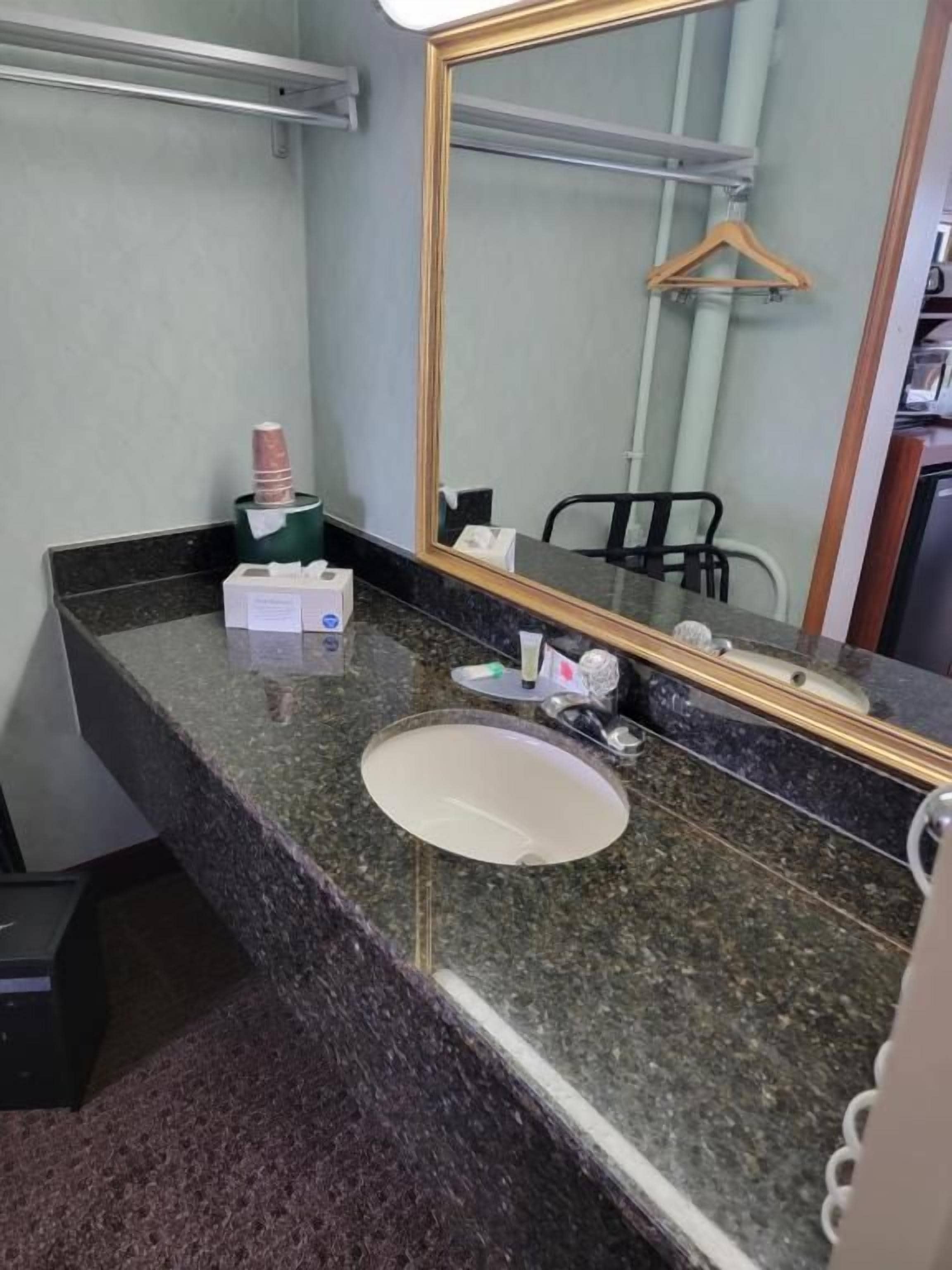 Un baño con encimera de granito, un lavabo blanco, un espejo y un perchero para toallas.